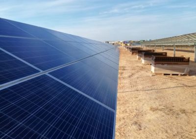 TeaTek_Solar Park Hazana