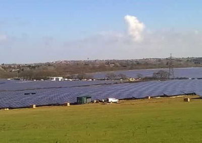 TeaTek_Solar Park Owl's Hatch