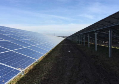 TeaTek_Solar Park Shotwick