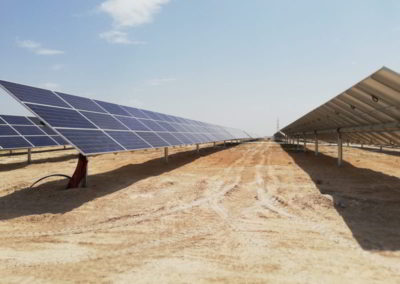 TeaTek_Solar Park Talento